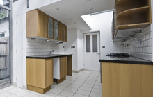 Bickley Town kitchen extension leads